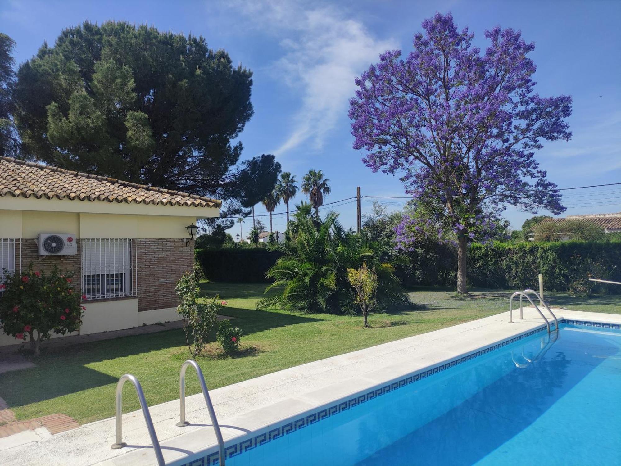 Remanso De Paz Cerca De Sevilla Dreamertu Palomares del Rio ภายนอก รูปภาพ