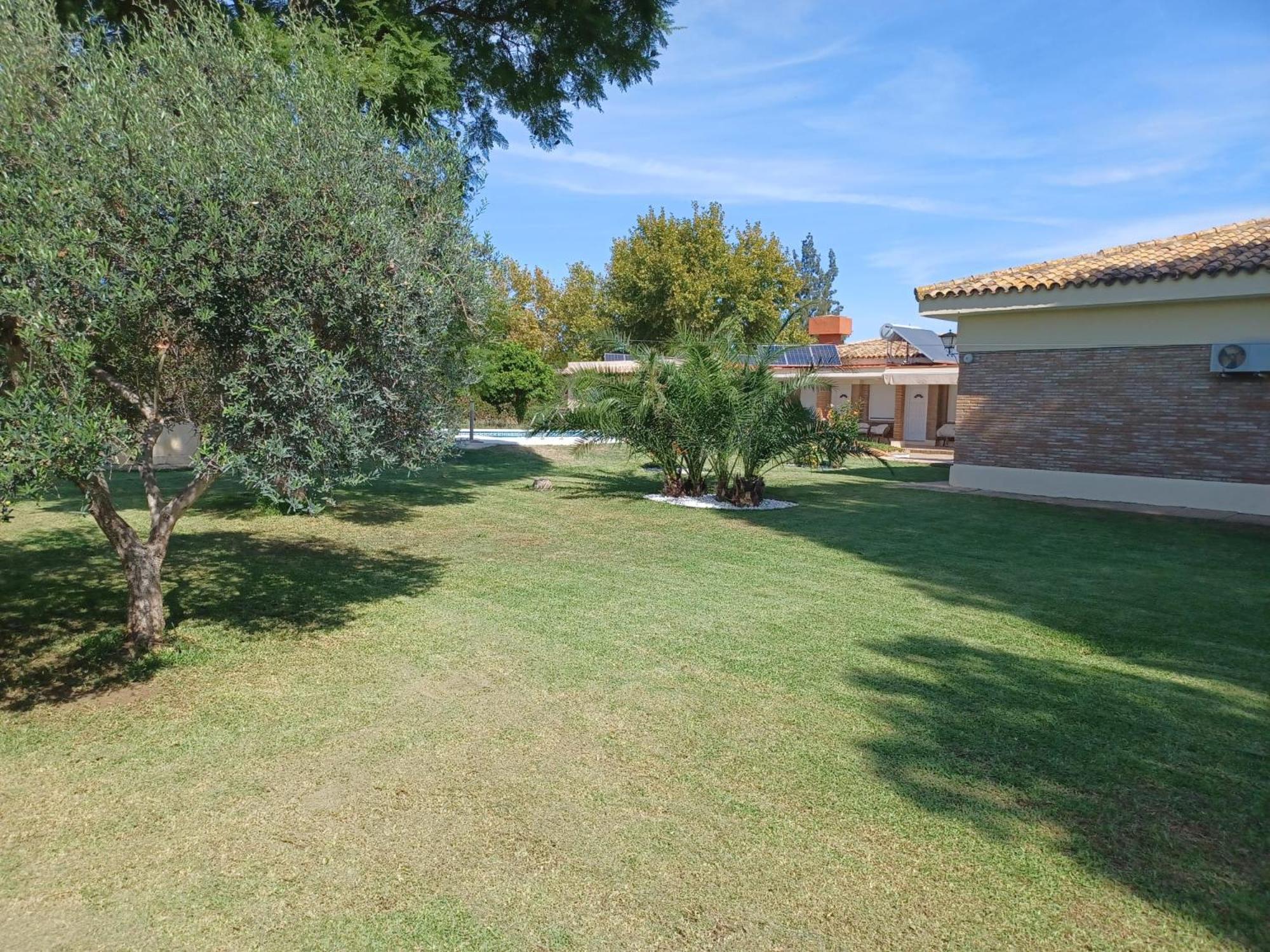 Remanso De Paz Cerca De Sevilla Dreamertu Palomares del Rio ภายนอก รูปภาพ