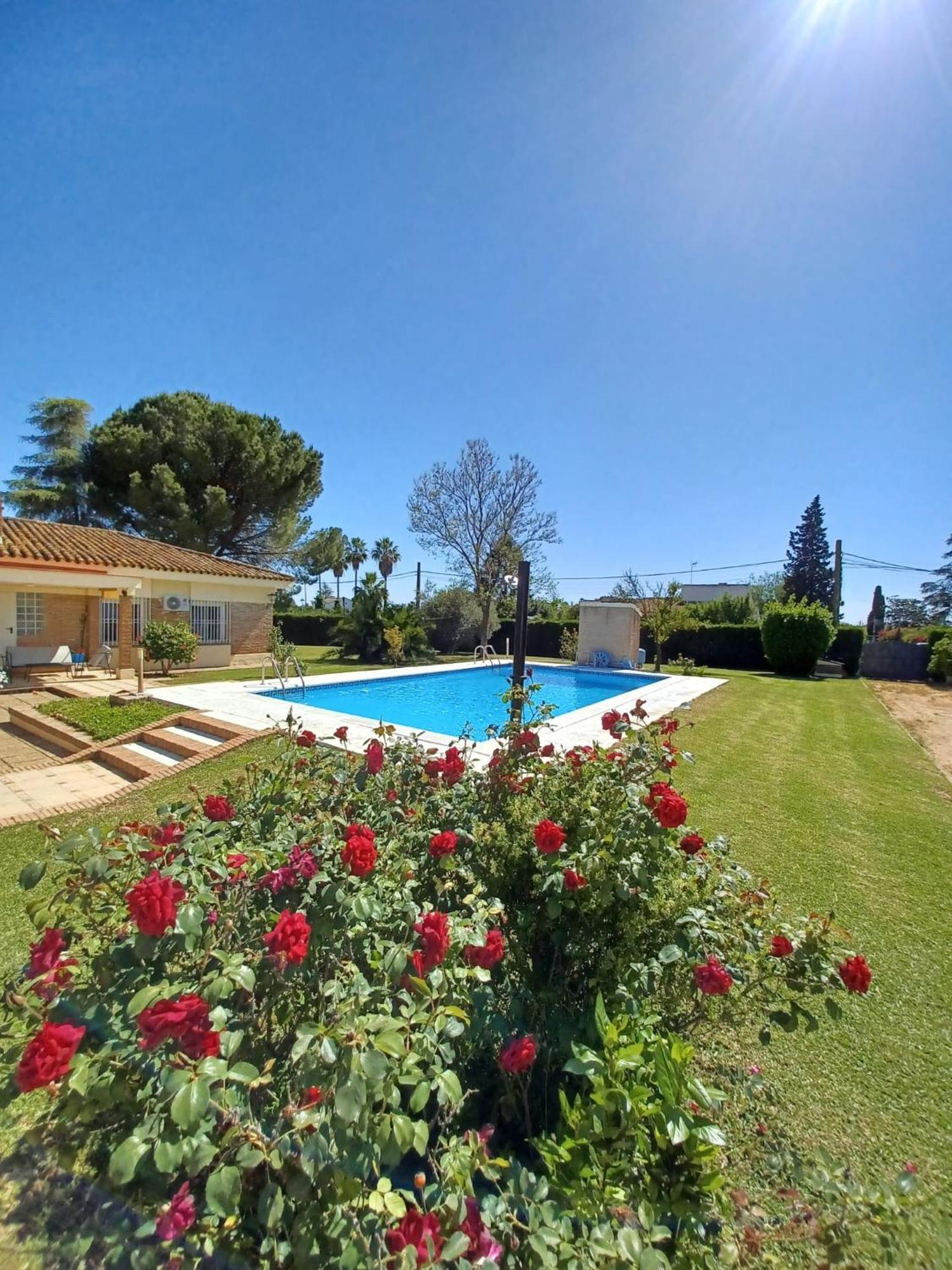 Remanso De Paz Cerca De Sevilla Dreamertu Palomares del Rio ภายนอก รูปภาพ